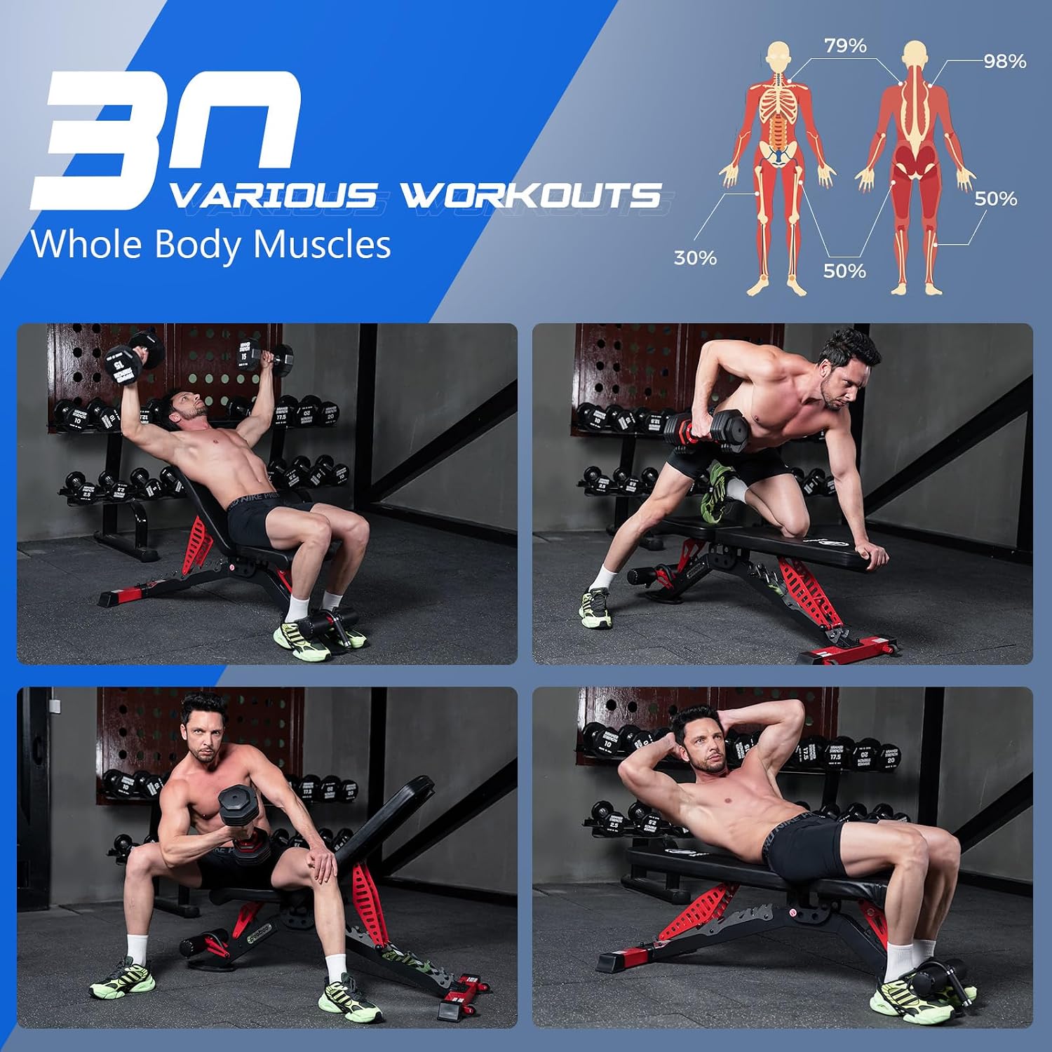 مقعد تمارين قابل للتعديل، يتحم - مراجعة Home Gym Bench وسعره