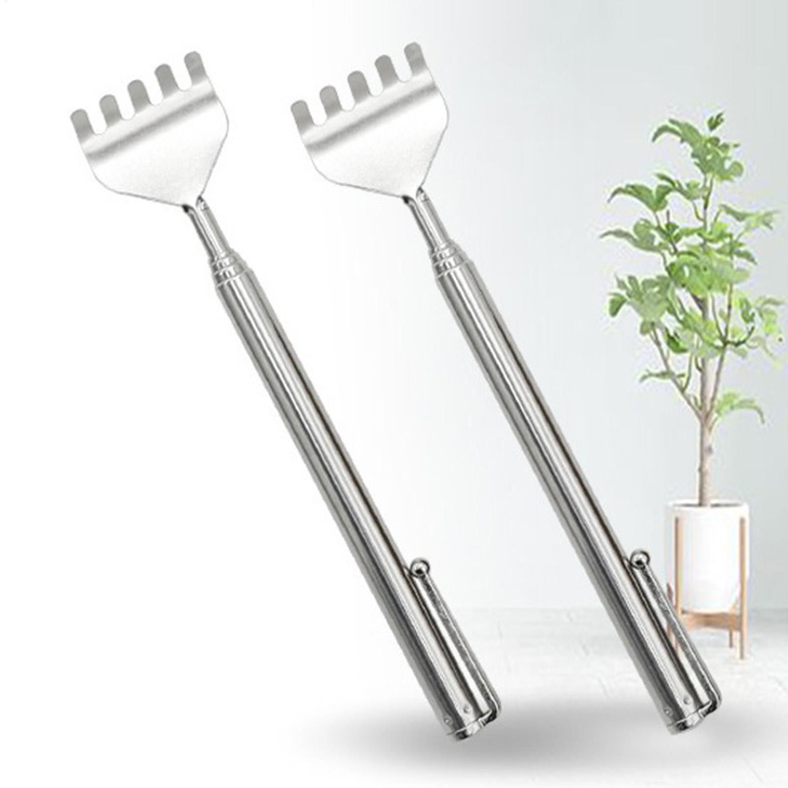 مكشطة ظهر قابلة للتمديد محمولة - مراجعة Home Gym Compact وسعره