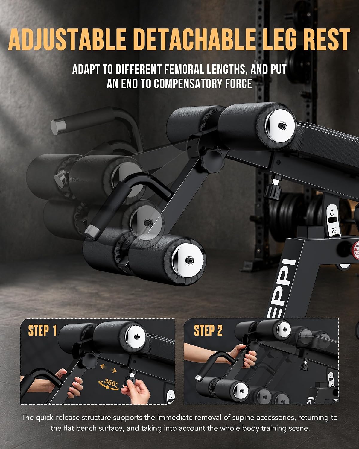 مقعد تمارين قابل للتعديل بقدرة - مراجعة Home Gym Bench وسعره